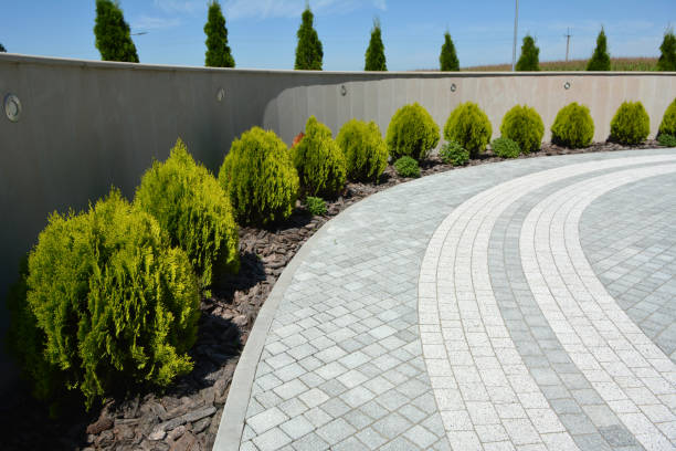 Best Eco-Friendly Driveway Paving in Decatur, AR